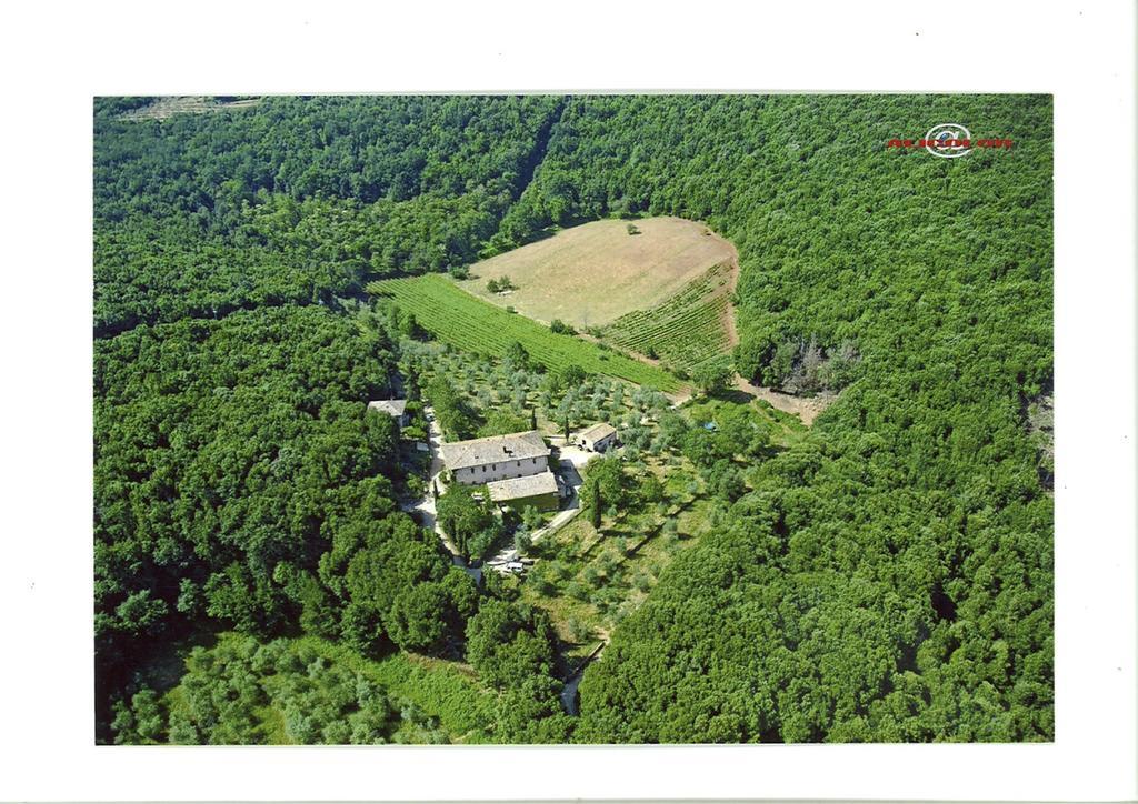 Agriturismo Biologico Ebbio Villa Monteriggioni Ngoại thất bức ảnh