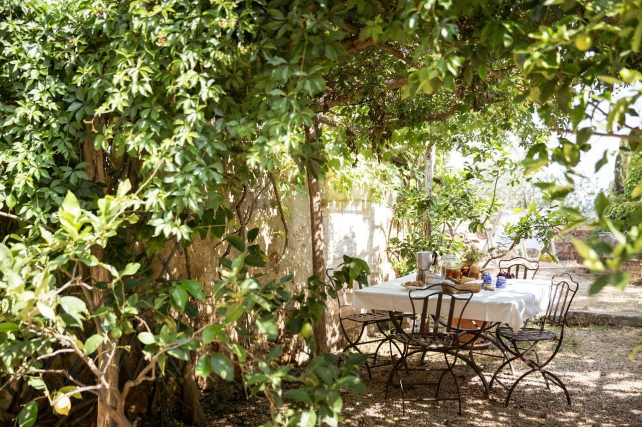 Agriturismo Biologico Ebbio Villa Monteriggioni Ngoại thất bức ảnh